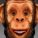 davidjosue007