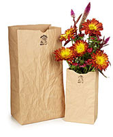 Paper Bag Vase