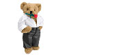 Latin Lover Bear