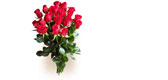 Red Roses