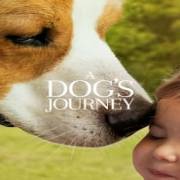 A Dogs Journey 123Movies