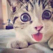 abberrzz