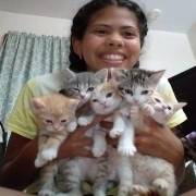 AmsterdamKitten