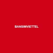 bansimviettel