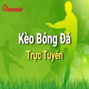 btylekeo