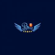 bwingbet