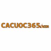 cacuoc365_win