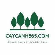 caycanh365