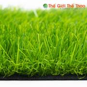 conhantaothegioithethao