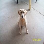 Cooper Thomas