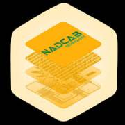 customblockchaindevelopment