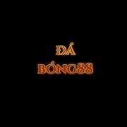 dabong88