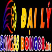 dailybong88biz