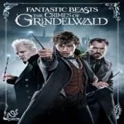 Fantastic Beasts 123Movies