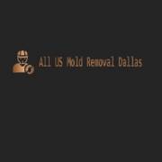 GetInMoldRemovalDallas