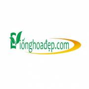 gionghoadepvn