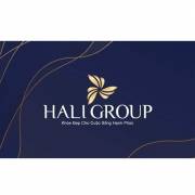 haligroupvn