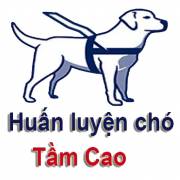 huanluyenchotamcao