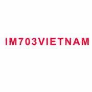 ironman703vietnam
