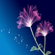 irwinlove1