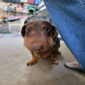 kylasmellslikepoopoo