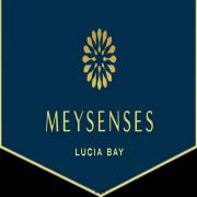 meysenses