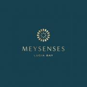 meysenseslucia