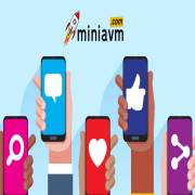 miniavm