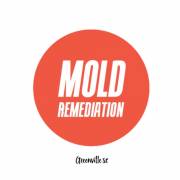 moldremediationgreenville