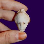 musogynie