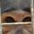MutantMonkey