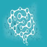myiqtesting