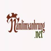 namlimxanhrung
