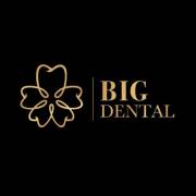 nhakhoabigdental