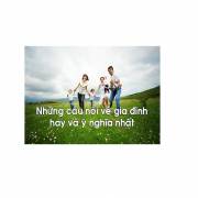 nhungcaunoihayvegiadinh