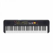 organ613