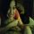 patti_kilroy