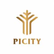picitypigroup