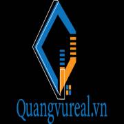 quangvureal