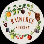 Raintreenursery