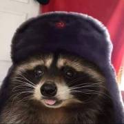 Ronan_Neox