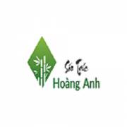 saotruchoanganh