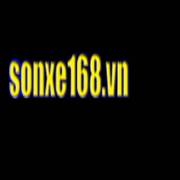 sonxe168paint