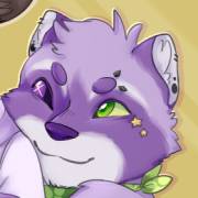 stareyedraccoon