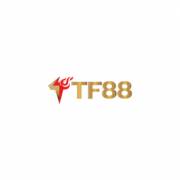 tf88top