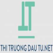 thitruongdautu1