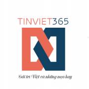 tinviet365