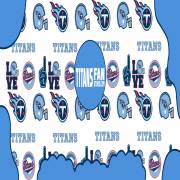 Titansfanstore