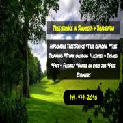 treeservicesarasota