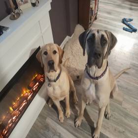 TuckerandHoney
